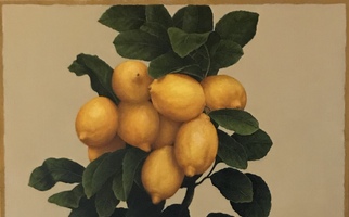 <strong>Lemons, leaves  </strong> <span class="dims">24X20"</span> oil on linen